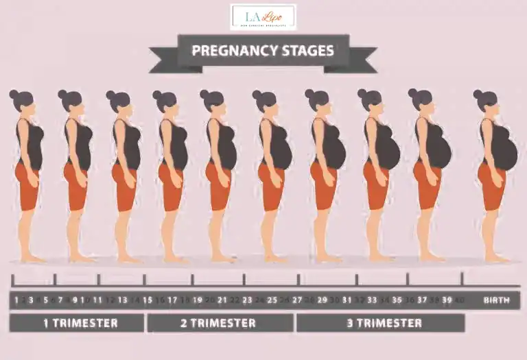 First Trimester (Weeks 1–12): Early Changes You Might Not Notice Leicester
